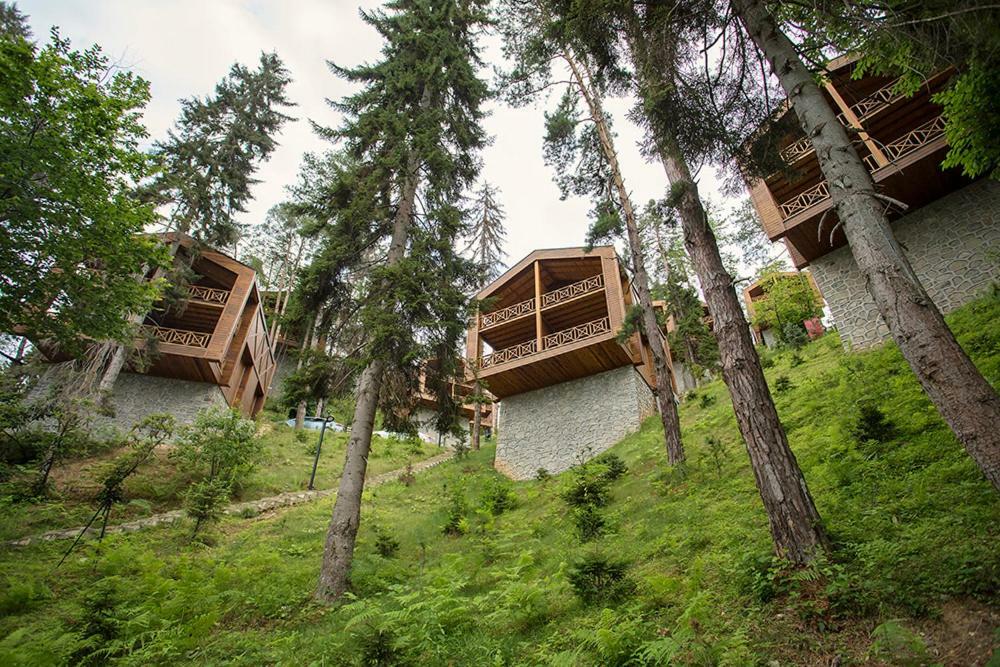Hancioglu Orman Evleri  Trabzon Bagian luar foto
