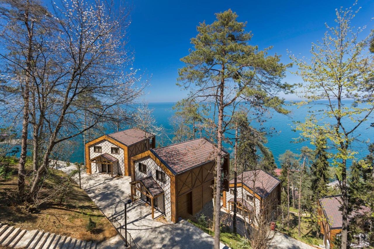 Hancioglu Orman Evleri  Trabzon Bagian luar foto